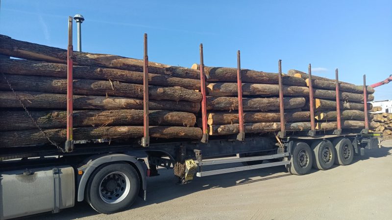 ROUND OAK WOOD WITH BARK 