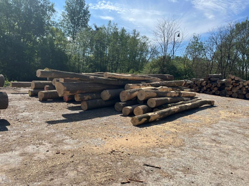 ROUND ASH WOOD WITH BARK 