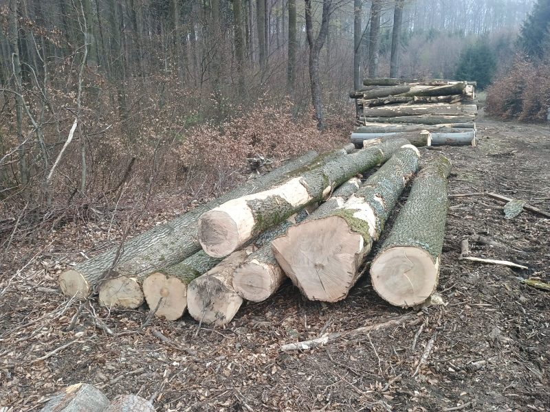 ROUND ASH WOOD WITH BARK 