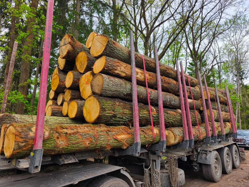 ROUND OAK WOOD WITH BARK 