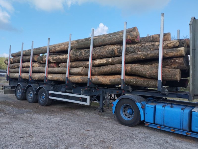 ROUND ASH WOOD WITH BARK 