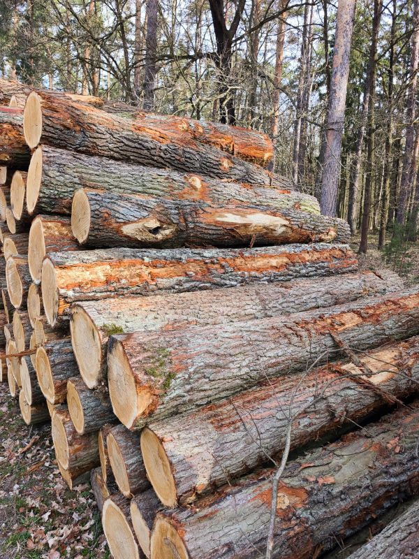 ROUND OAK WOOD WITH BARK 