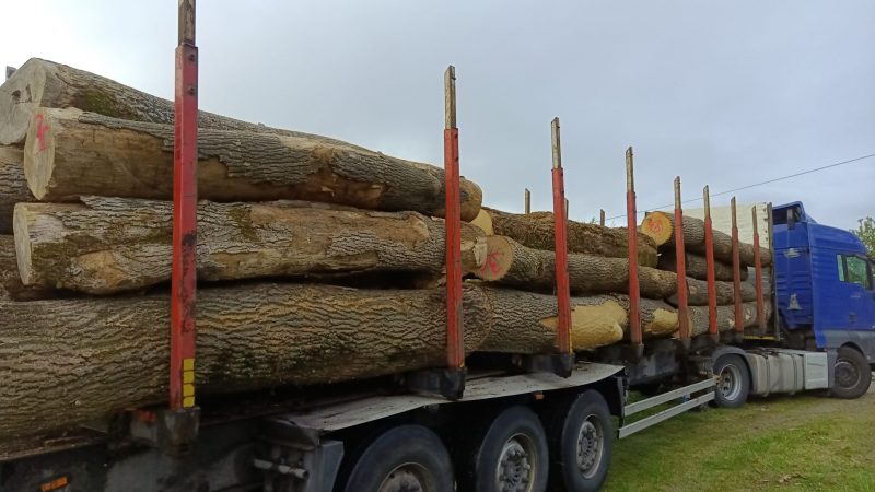 ROUND ASH WOOD WITH BARK 