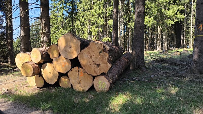 ROUND SPRUCEWOOD WITH BARK 