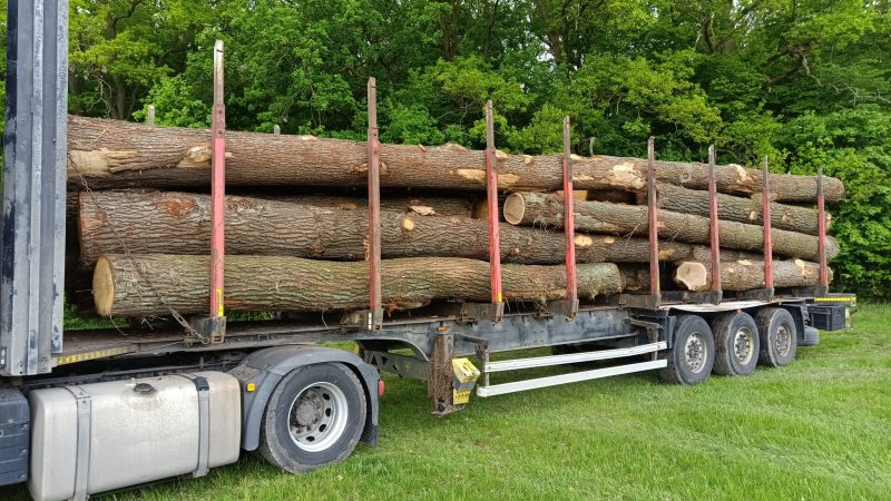 ROUND OAK WOOD WITH BARK 