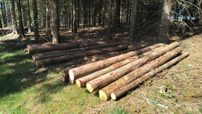 ROUND SPRUCEWOOD WITH BARK 
