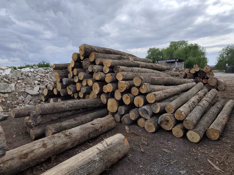 ROUND OAK WOOD WITH BARK 