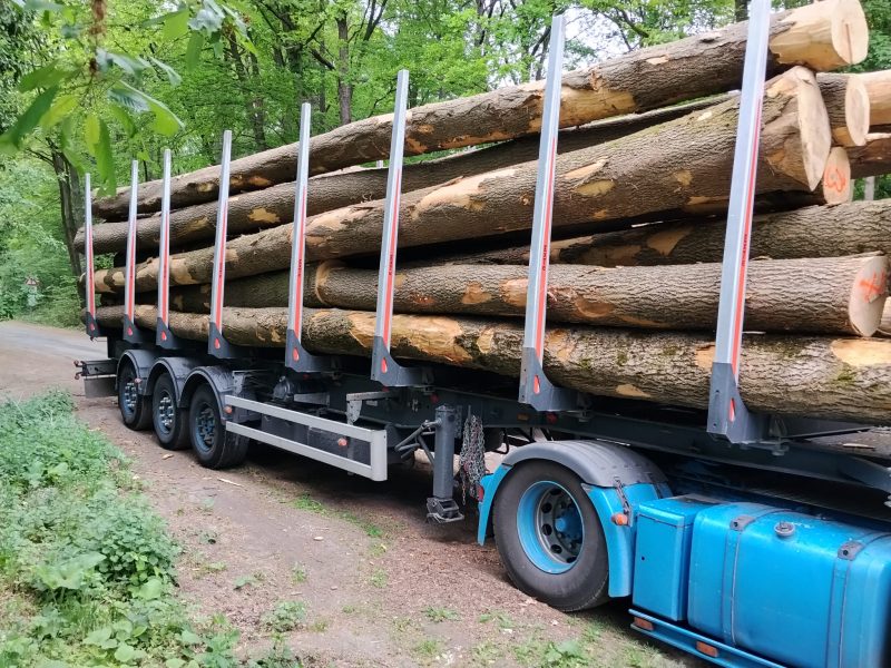 ROUND ASH WOOD WITH BARK 