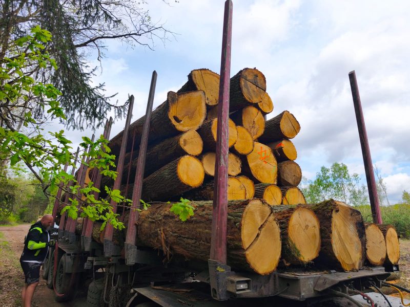 ROUND OAK WOOD WITH BARK 