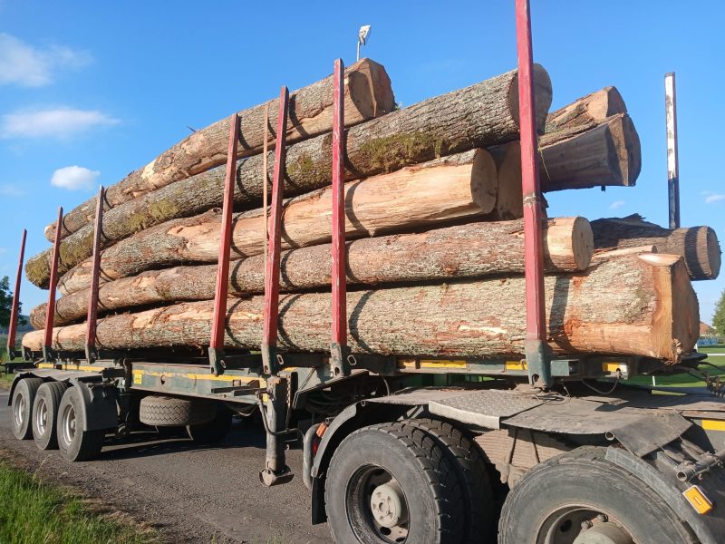ROUND OAK WOOD WITH BARK 