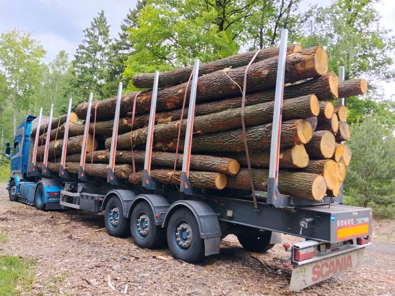 ROUND OAK WOOD WITH BARK 