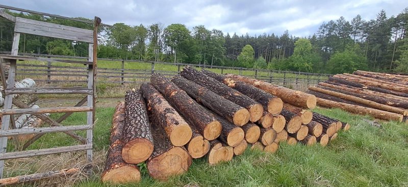 ROUND PINEWOOD WITH BARK 