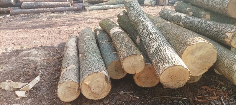 ROUND ASH WOOD WITH BARK 