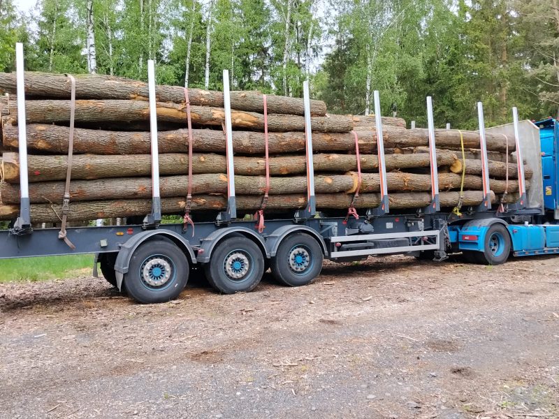 ROUND OAK WOOD WITH BARK 