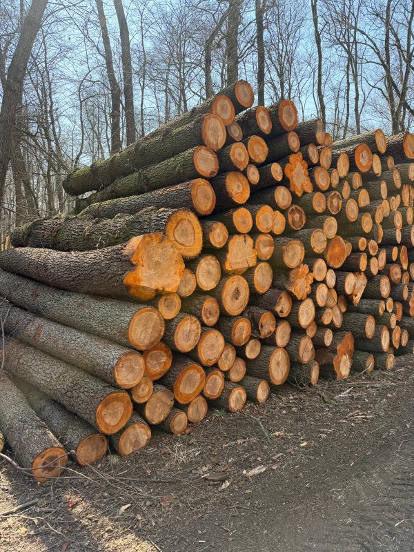 ROUND ALDER WOOD WITH BARK 