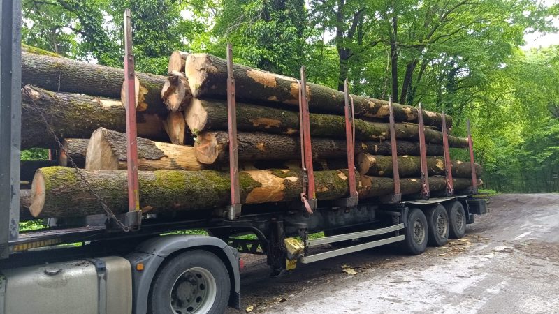 ROUND ASH WOOD WITH BARK 