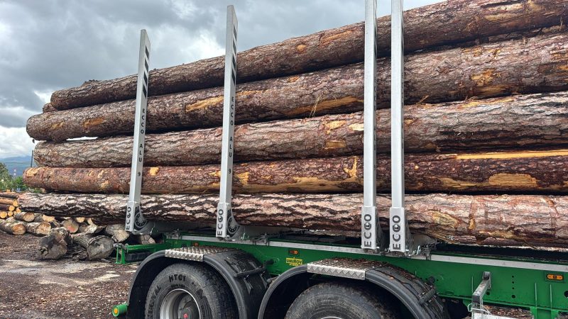 ROUND PINEWOOD WITH BARK 