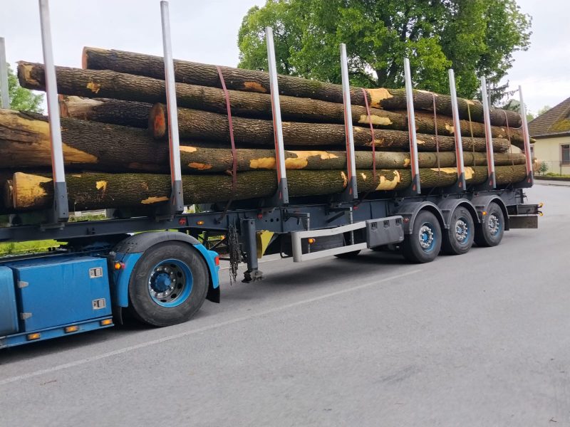 ROUND ASH WOOD WITH BARK 