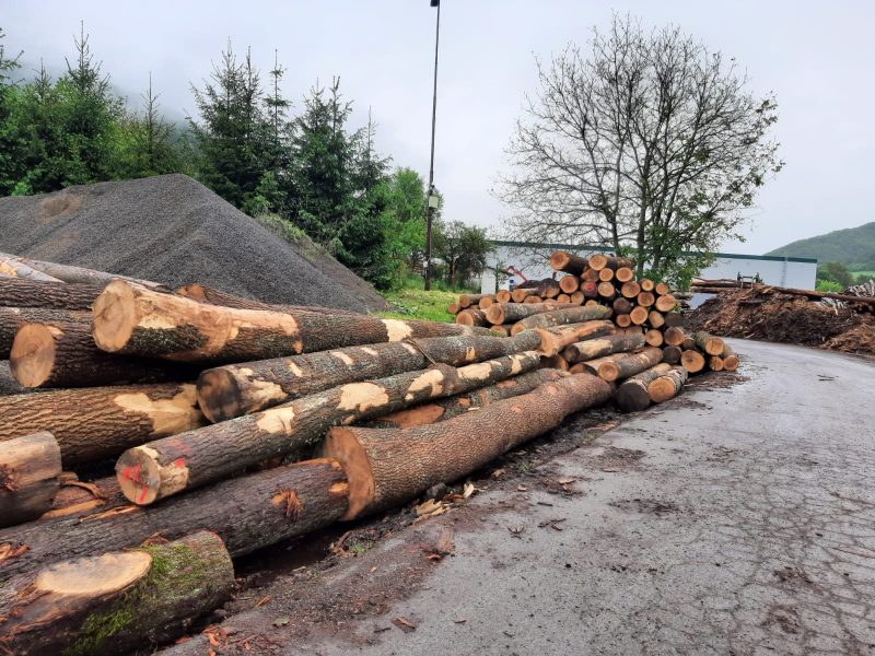 ROUND ASH WOOD WITH BARK 