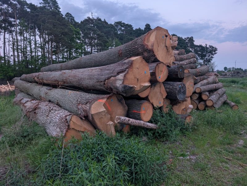 ROUND OAK WOOD WITH BARK 