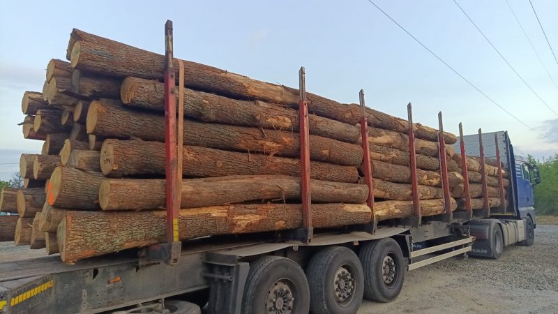 ROUND OAK WOOD WITH BARK 