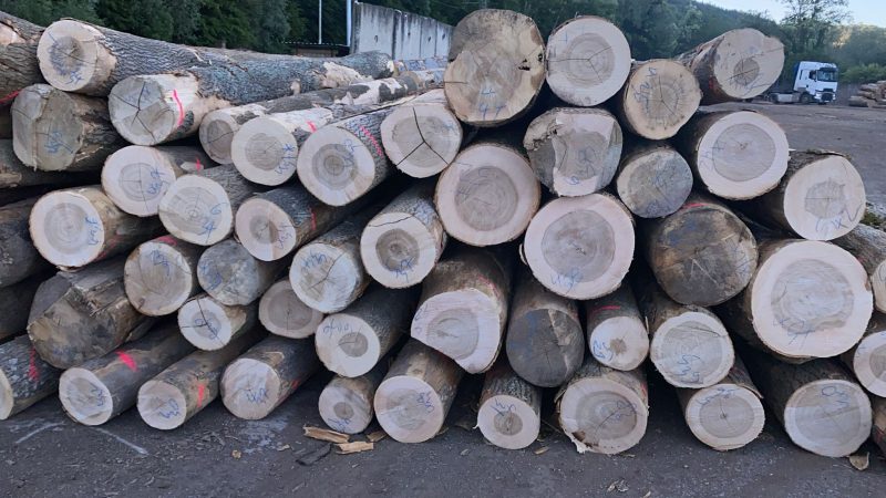 ROUND ASH WOOD WITH BARK 