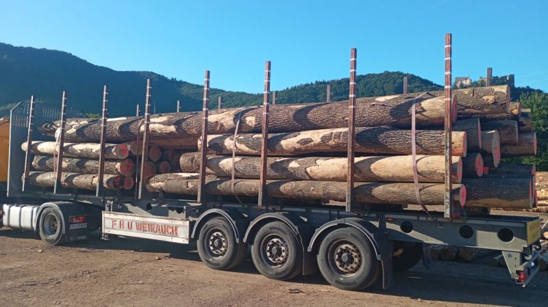 ROUND ASH WOOD WITH BARK 