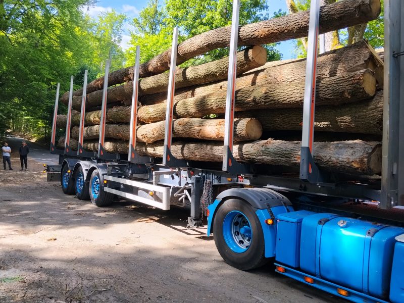 ROUND OAK WOOD WITH BARK 