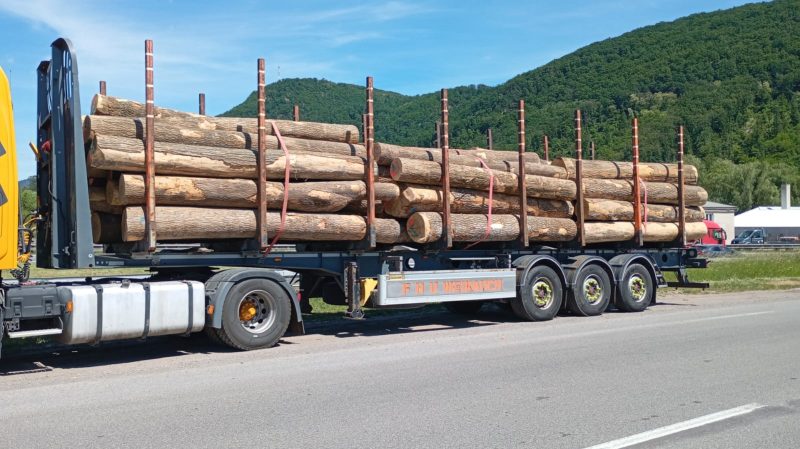ROUND ASH WOOD WITH BARK 