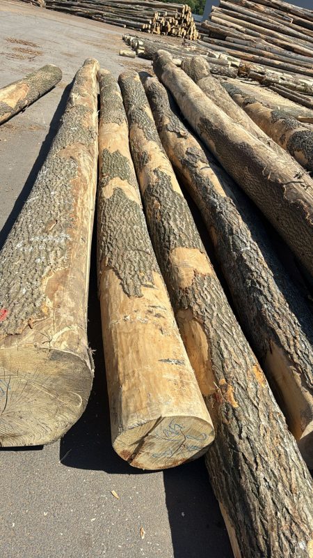 ROUND ASH WOOD WITH BARK 