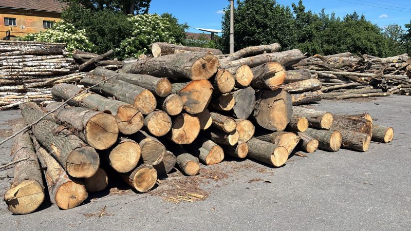 ROUND OAK WOOD WITH BARK 