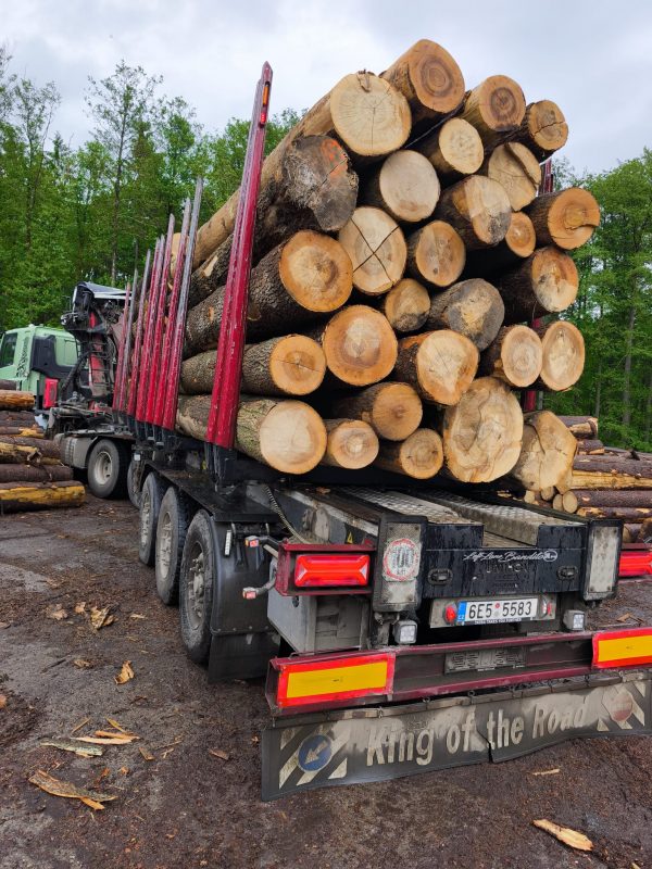 ROUND ASH WOOD WITH BARK 
