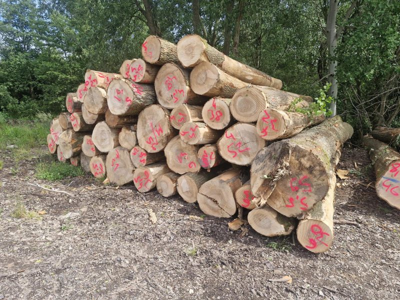 image ROUND OAK WOOD WITH BARK  EUROEXPO-NET