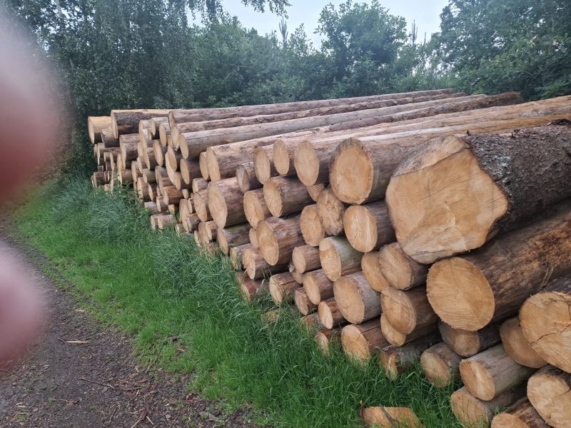 PALLET BOARDS 