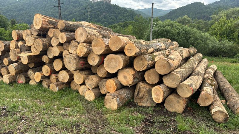 ROUND ASH WOOD WITH BARK 