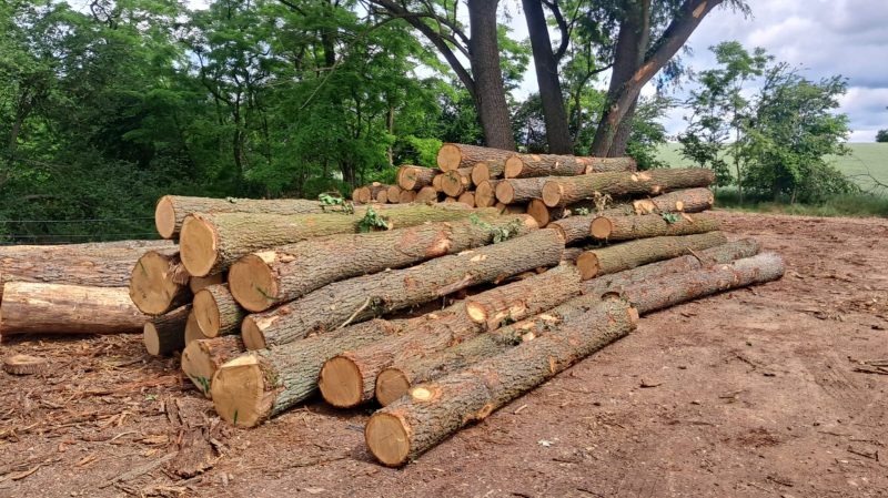 ROUND OAK WOOD WITH BARK 