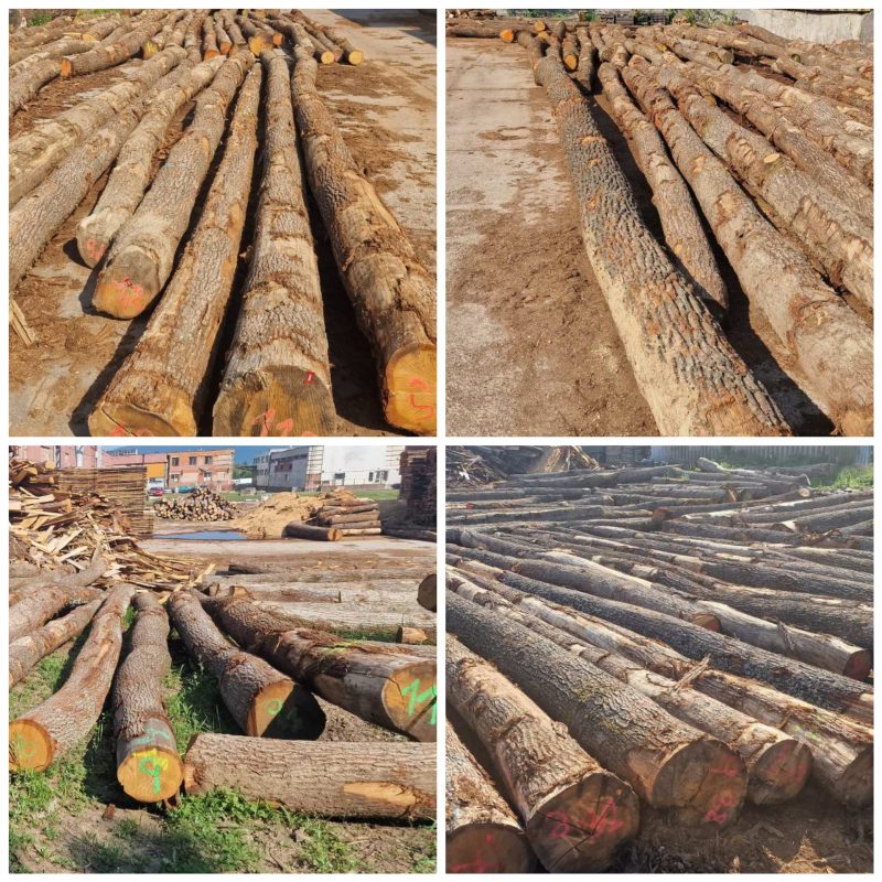 ROUND OAK WOOD WITH BARK 