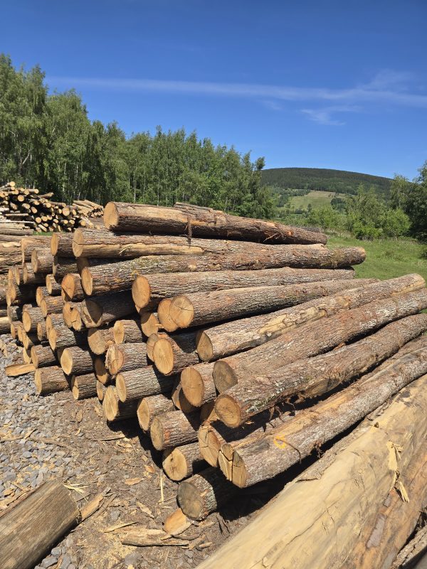 ROUND OAK WOOD WITH BARK 