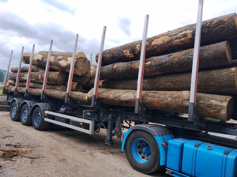 ROUND ASH WOOD WITH BARK 