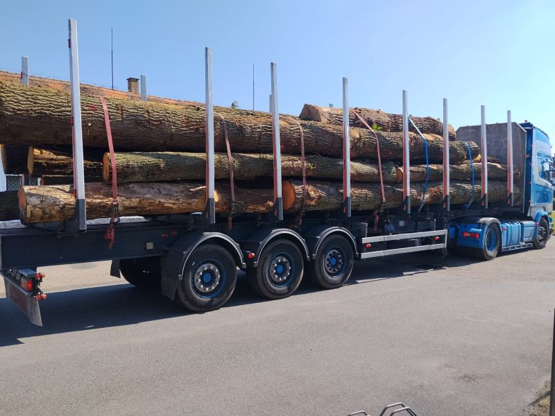 ROUND OAK WOOD WITH BARK 