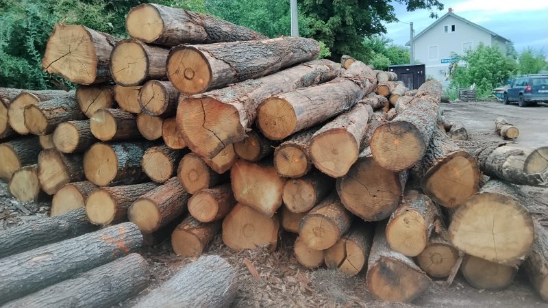 ROUND OAK WOOD WITH BARK 