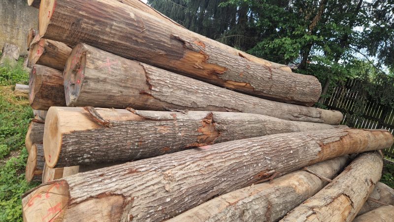 ROUND OAK WOOD WITH BARK 