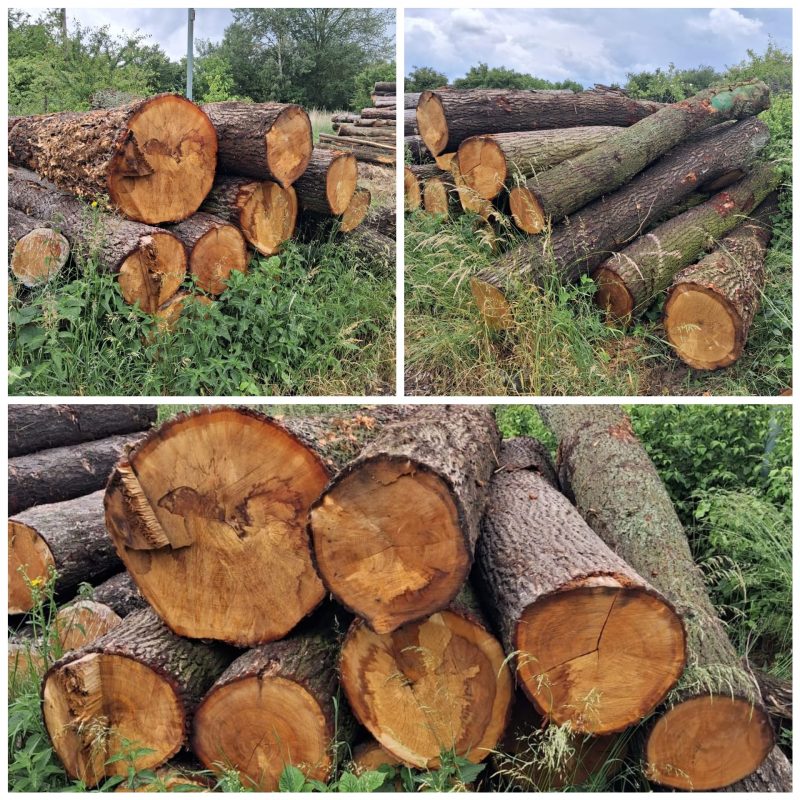 ROUND OAK WOOD WITH BARK 