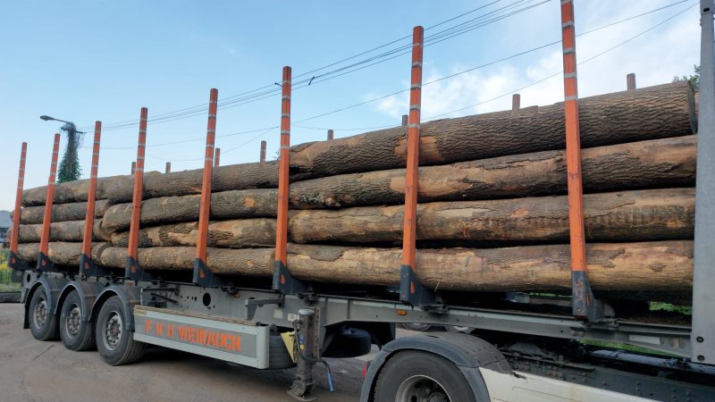 ROUND ASH WOOD WITH BARK 