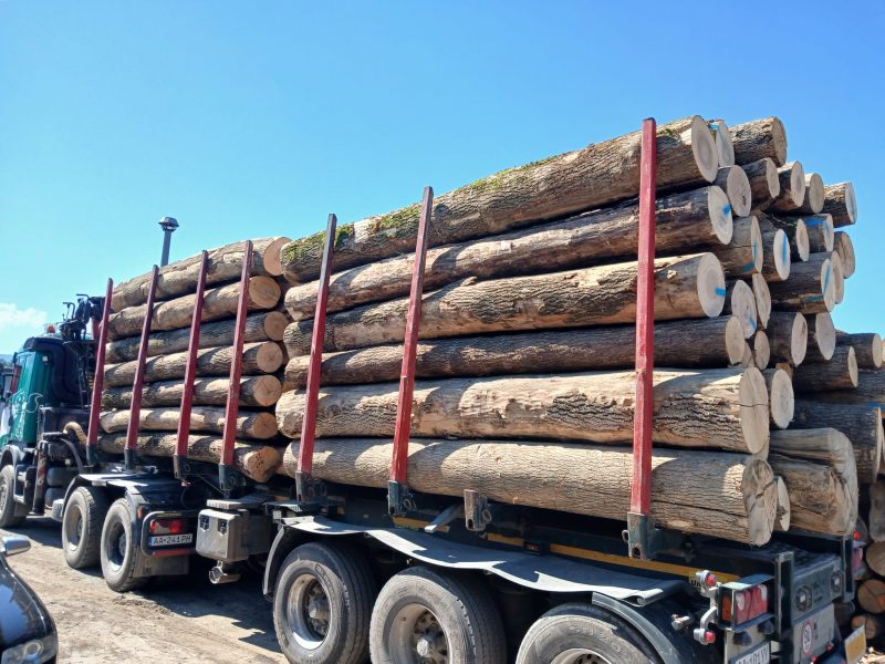 ROUND ASH WOOD WITH BARK 