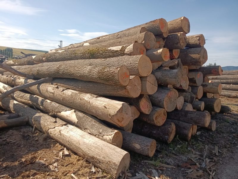 ROUND ASH WOOD WITH BARK 