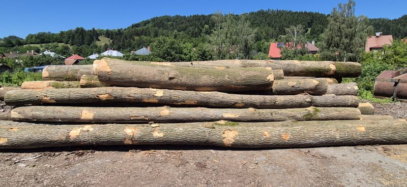 ROUND ASH WOOD WITH BARK 