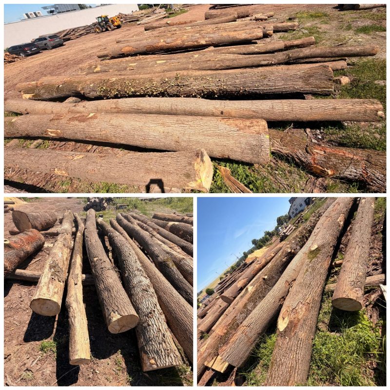 ROUND OAK WOOD WITH BARK 