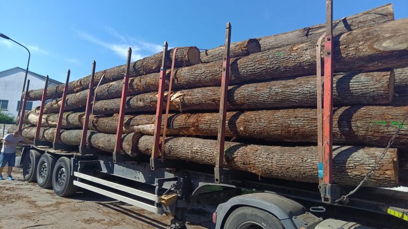 ROUND OAK WOOD WITH BARK 