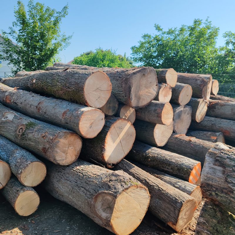 ROUND OAK WOOD WITH BARK 